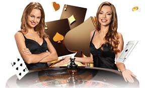 rich buffalo Slot Provider များ Pragmatic PG Soft Jili Myanmar